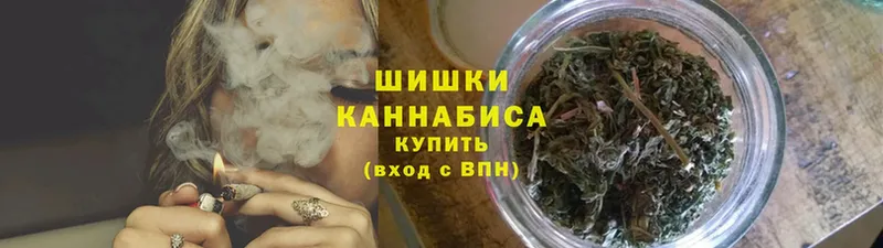 Бошки марихуана Amnesia  Волгореченск 